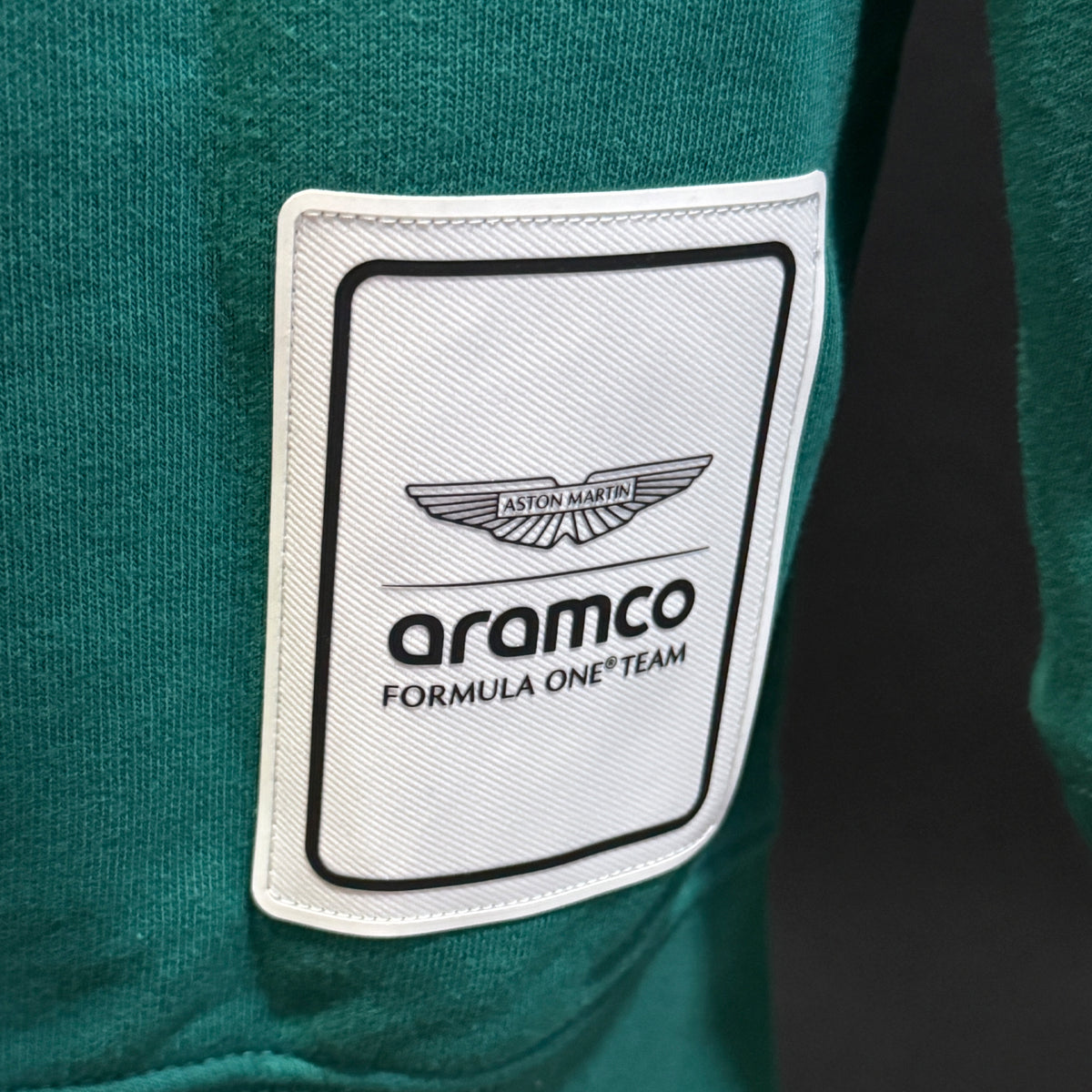 Sudadera Fórmula 1 Aston Martin FW Logo AM Verde Talla G