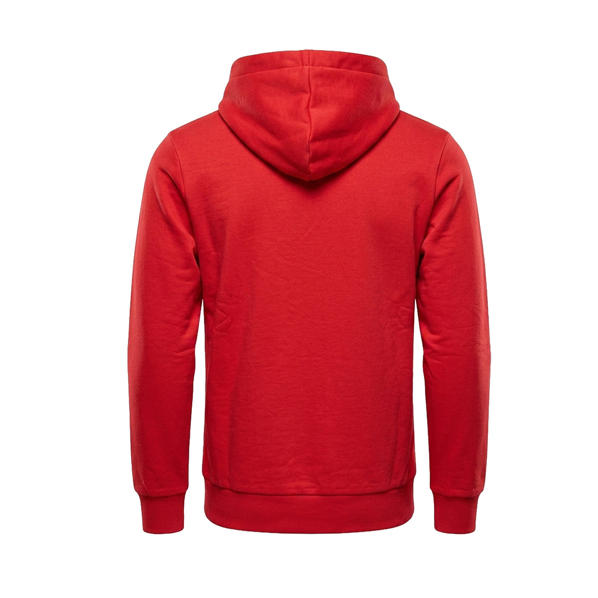Sudadera Fórmula 1 ESS Logo Pop Rojo Talla G